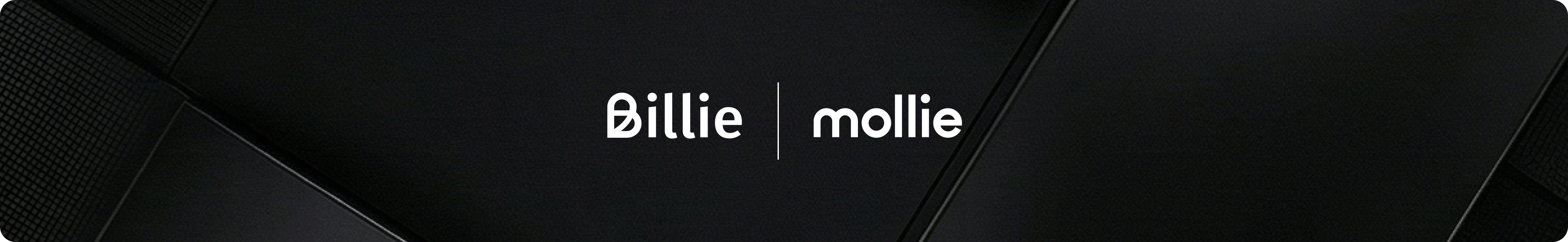 Mollie-Billie-B2B-Payments